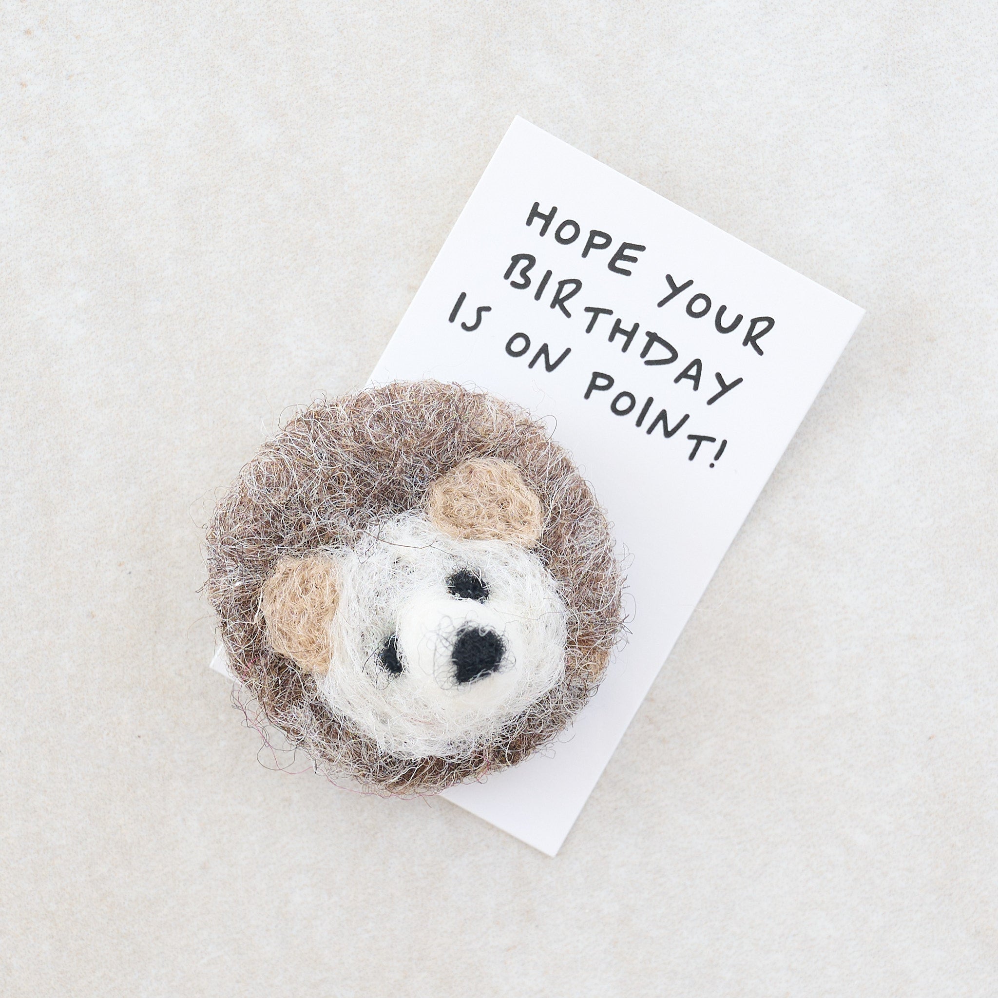 Birthday Hedgehug Wool Felt Hedgehog In A Matchbox