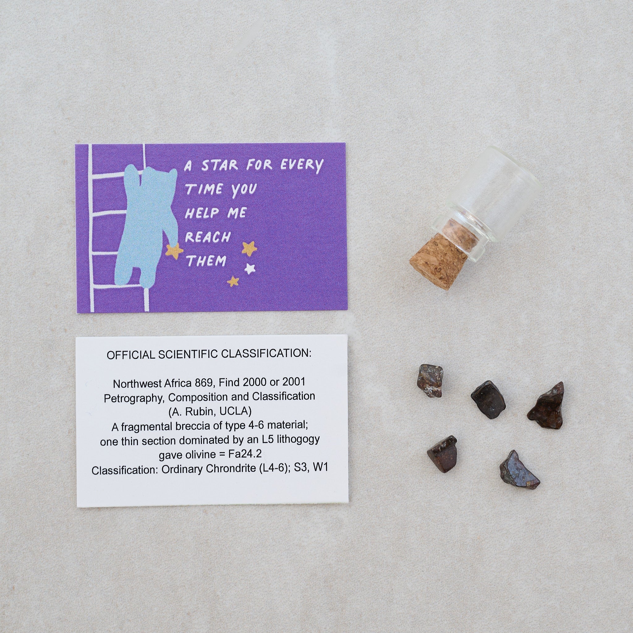 Daddy Bear Meteorite Gift In A Matchbox